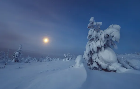 Picture winter, snow, trees, the moon, the snow, Russia, Main Ural ridge
