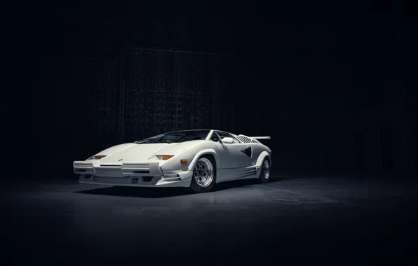 Picture Lamborghini, supercar, Countach, legendary, Lamborghini Countach 25th Anniversary