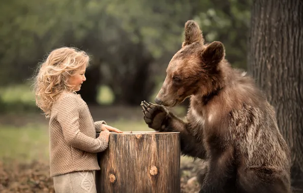 Picture nature, animal, stump, predator, bear, girl, curls, child