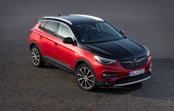 Picture Opel, Grandland X, 2019-20, Hybrid4