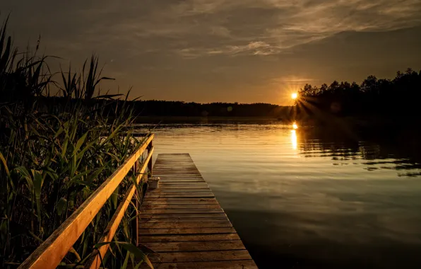 Picture rays, Ptоciennik Robert, the sky, river, forest, sunset
