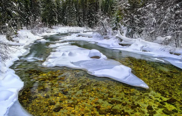 Snow, stream, crystal clear water
