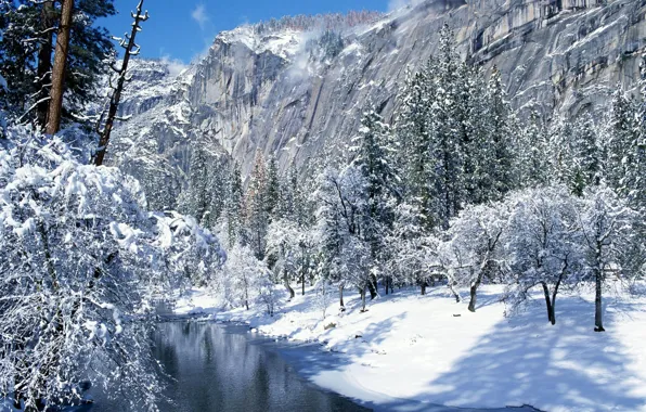 Winter, snow, CA, Yosemite national Park