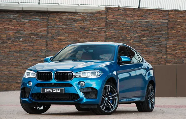 Picture BMW, BMW, SUV, F16, 2015, ZA-spec