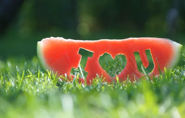 Grass, watermelon, slice, i love you