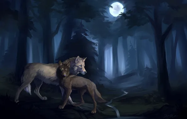 Picture forest, stream, the moon, pair, wolves