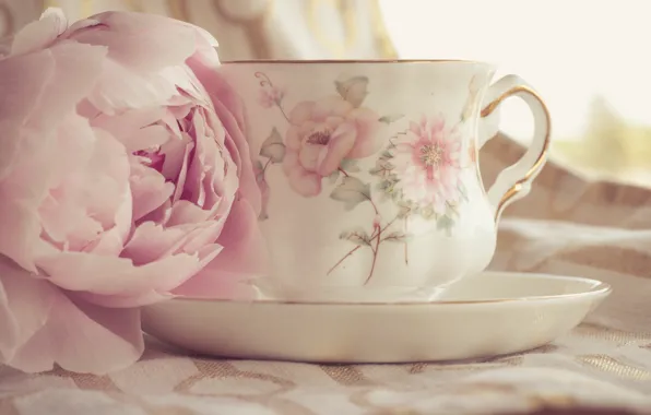 Flowers, petals, still life