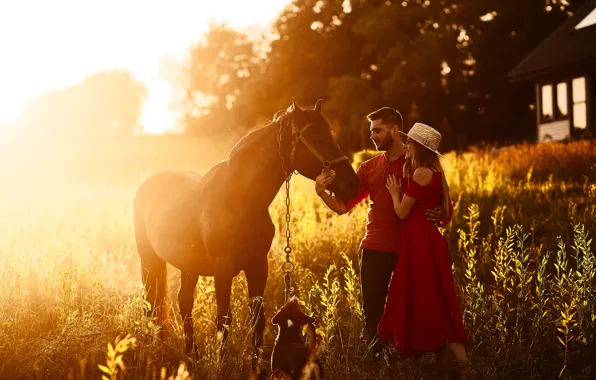 Girl, horse, horse, family, male