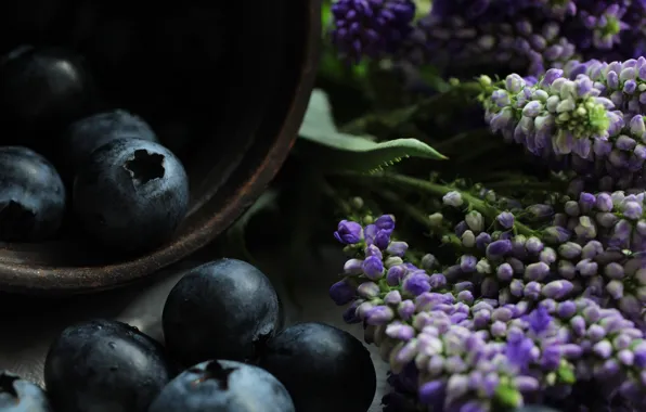 Picture macro, flowers, berries, the dark background, black, food, blueberries, Cup