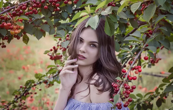 Summer, look, girl, branches, cherry, pose, berries, Emil Topalov