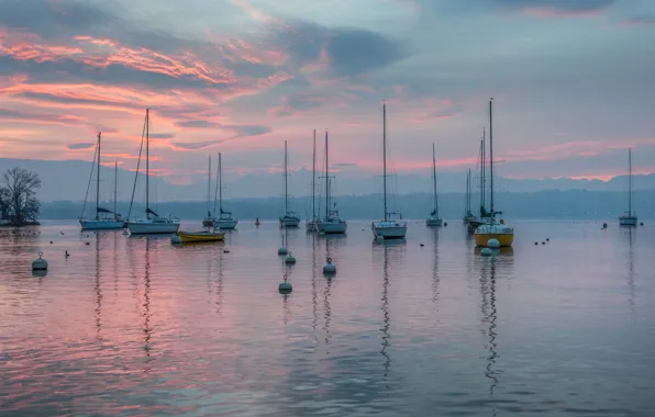 Wallpaper sunset, the evening, yacht
