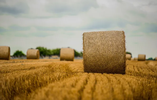 Picture clouds, trees, field, hay, bokeh, farm