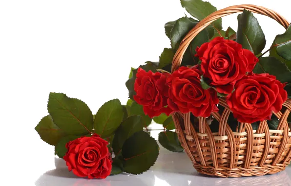 Flowers, red, roses, bouquet, petals