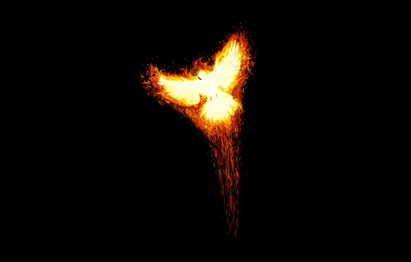 Picture fire, bird, minimalism, Phoenix, the rise, phoenix, myth, Fenya
