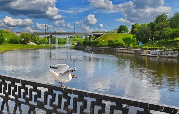 Summer, landscape, the city, river
