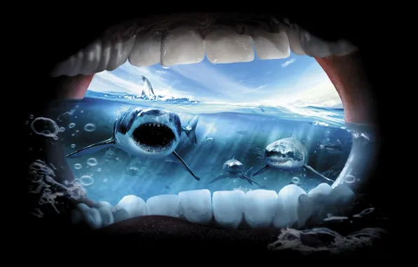Picture the ocean, horror, sharks, Creek