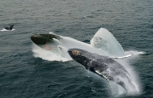 Submarine, whales, "whale jump"