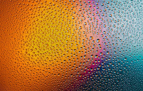 Glass, water, transparency, drops, light, orange, background, blue