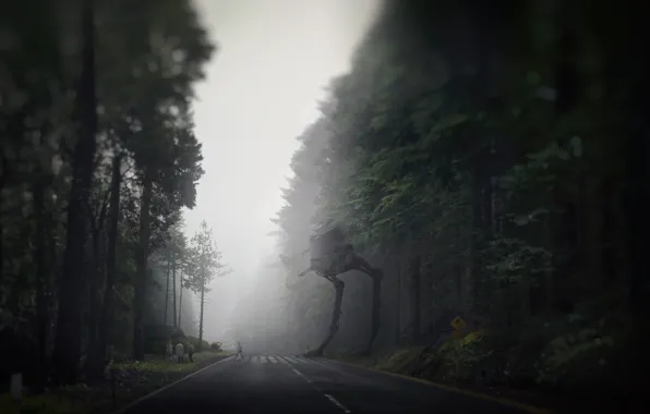 Road, Forest, Star Wars, Dark Side, Fantasy, Star wars, Fiction, Fiction