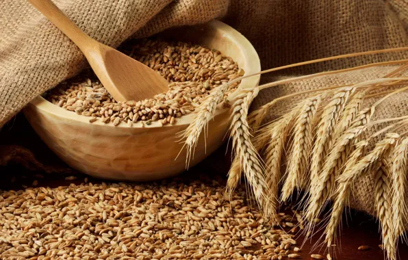 Ears, Spoon, Wheat, Bowl, Grain, Placer