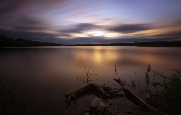 USA, USA, Illinois, Illinois, Cook County, Cook County