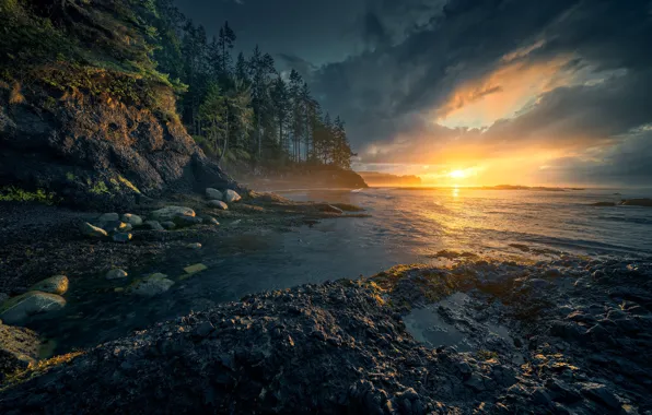 Forest, the sky, water, sunset, nature, beauty, the evening, Christian S