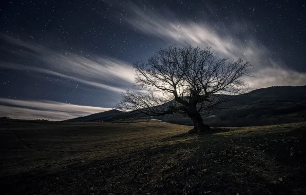 Stars, trees, mountains, slope