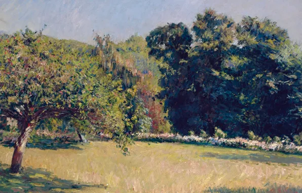 Picture trees, landscape, picture, Gustave Caillebotte, Gustave Caillebotte, A garden in Trouville