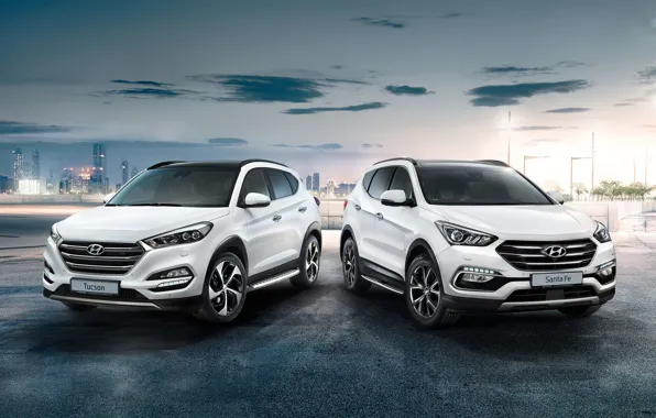 Picture White, Hyundai, Car, Santa Fe, Tucson, Metallic