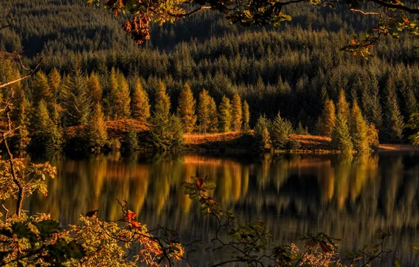Autumn, forest, lake, Scotland, Scotland, Loch Drunkie, Trossachs, Achray Forest