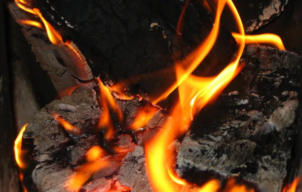 Fire, the fire, wood