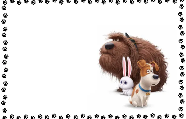 Picture rabbit, art, dog, children's, the secret life of Pets to watch