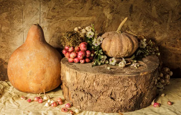 Picture flowers, harvest, pumpkin, still life, vegetables, autumn, still life, pumpkin