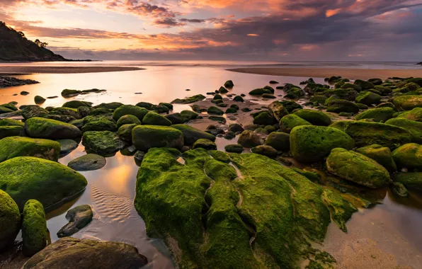 Sea, clouds, sunset, stones, shore, green, pond, boulders
