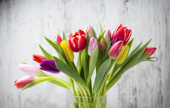 Flowers, bouquet, colorful, tulips, fresh, wood, flowers, beautiful