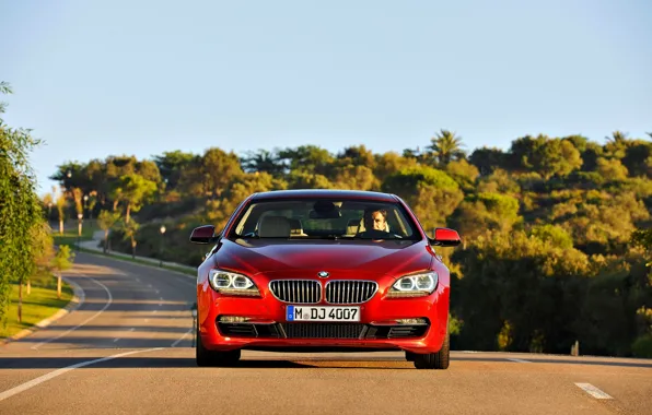 Picture Red, Road, BMW, Grille, Asphalt, BMW, The hood, Day