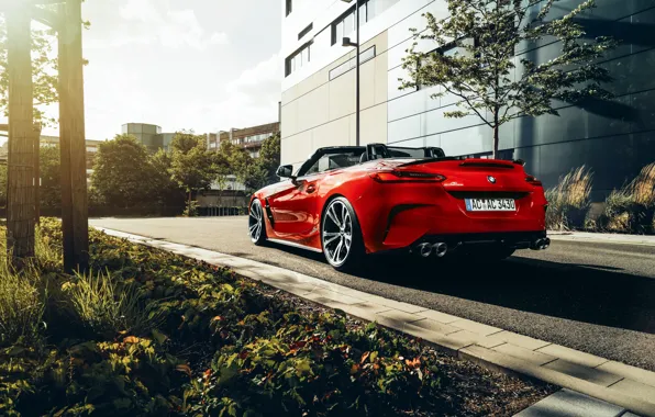 Red, BMW, sports, convertible, cabrio, AC Schnitzer, Z4