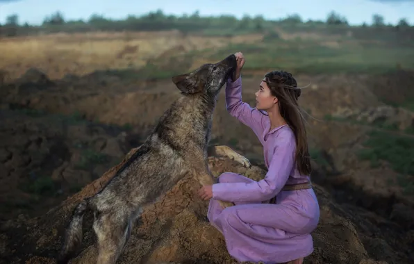 Girl, pose, stones, the moon, wolf, dog, fantasy, twilight