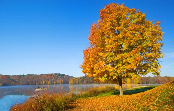 Autumn, the sky, river, tree, mood, hills, foliage, boat