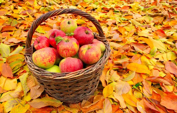 Picture autumn, leaves, basket, apples, yellow