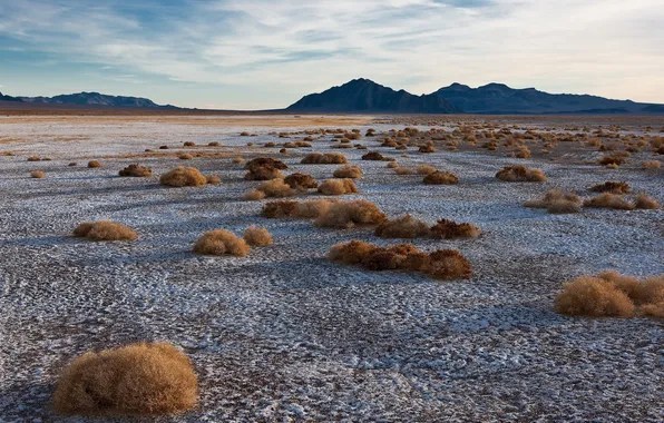 Picture landscape, mountains, the steppe, desert, Sergey Dolya