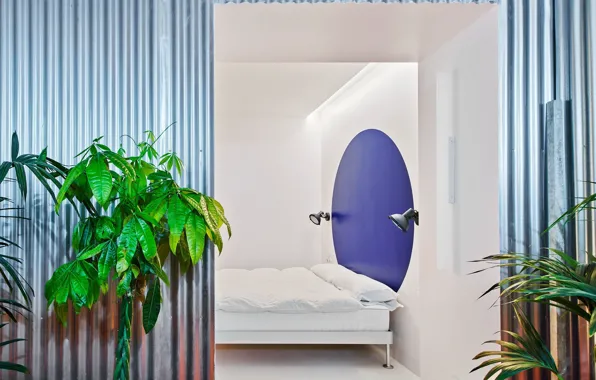 Design, style, interior, plants, Spain, bedroom, Spain, Madrid