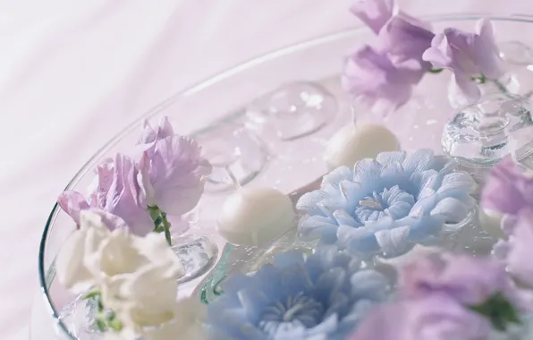 Picture purple, blue, flowers.Yu water