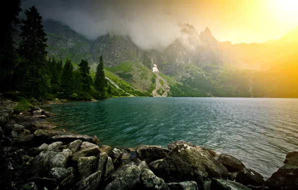 Picture trees, mountains, nature, lake, stones, pine
