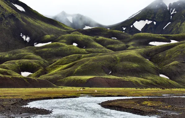 Snow, mountains, fog, stream, valley, Iceland