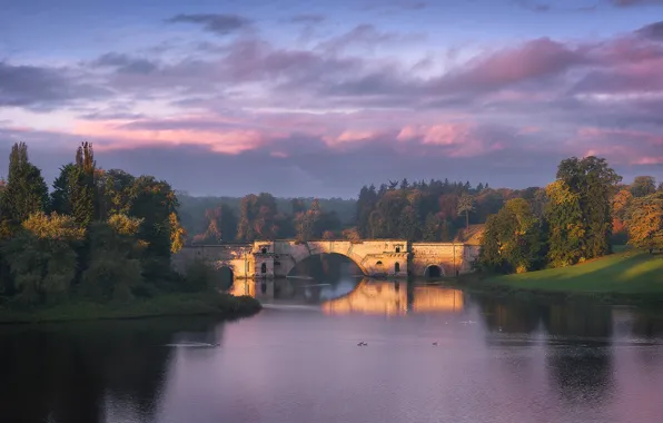 Picture autumn, clouds, trees, bridge, fog, shore, England, arch