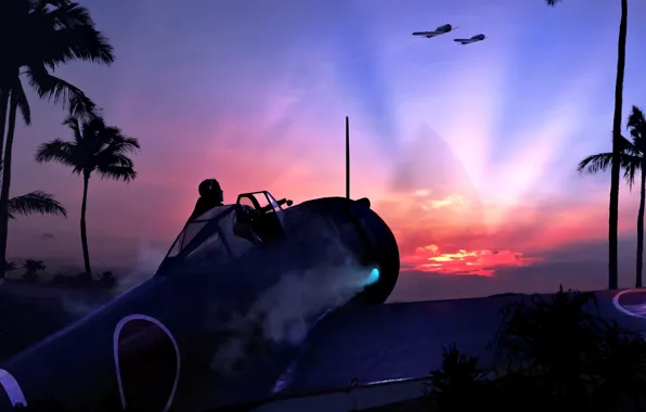 Palm trees, pilot, JAAF, Ki-43-I, Dawn, "Oskar"