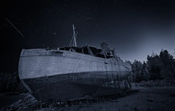 The sky, Stars, Trees, Forest, Boat, Shore, Sailboat, Stars