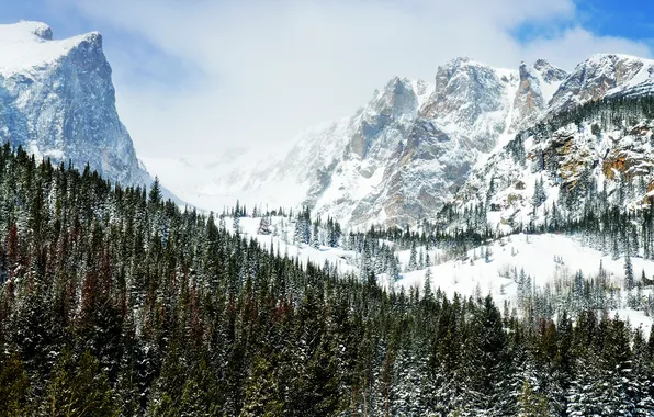 Picture winter, forest, mountains, rocks, peaks of winter