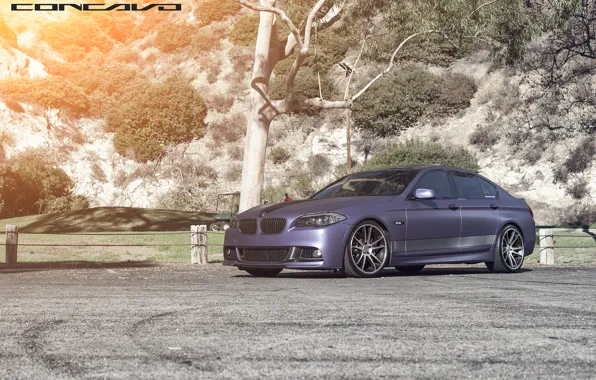 Picture BMW, F10, Concave, CW-S5, DBX, Matte Purple